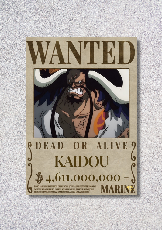 Wanted KAIDOU // poster // a4 and a3