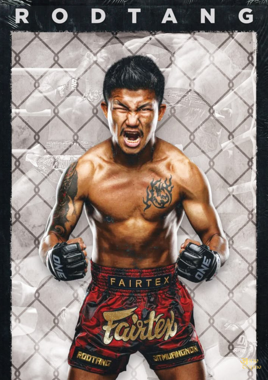 Cotaro Fighter // Poster // A4 and A3